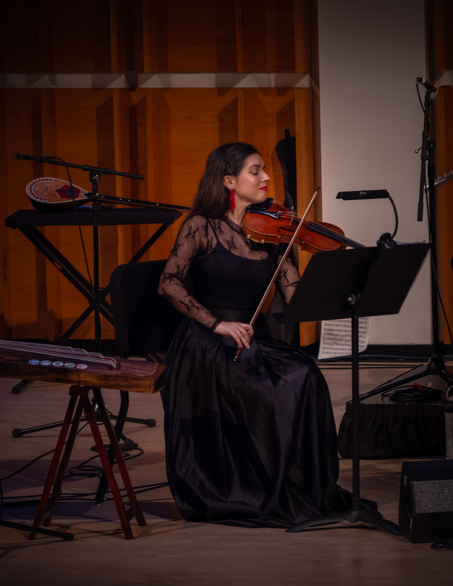 Concert photo 18